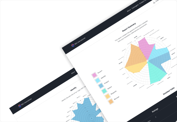 Audit report preview